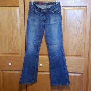 AG ADRIANO GOLDSCHMIED Jeans 29 Regular